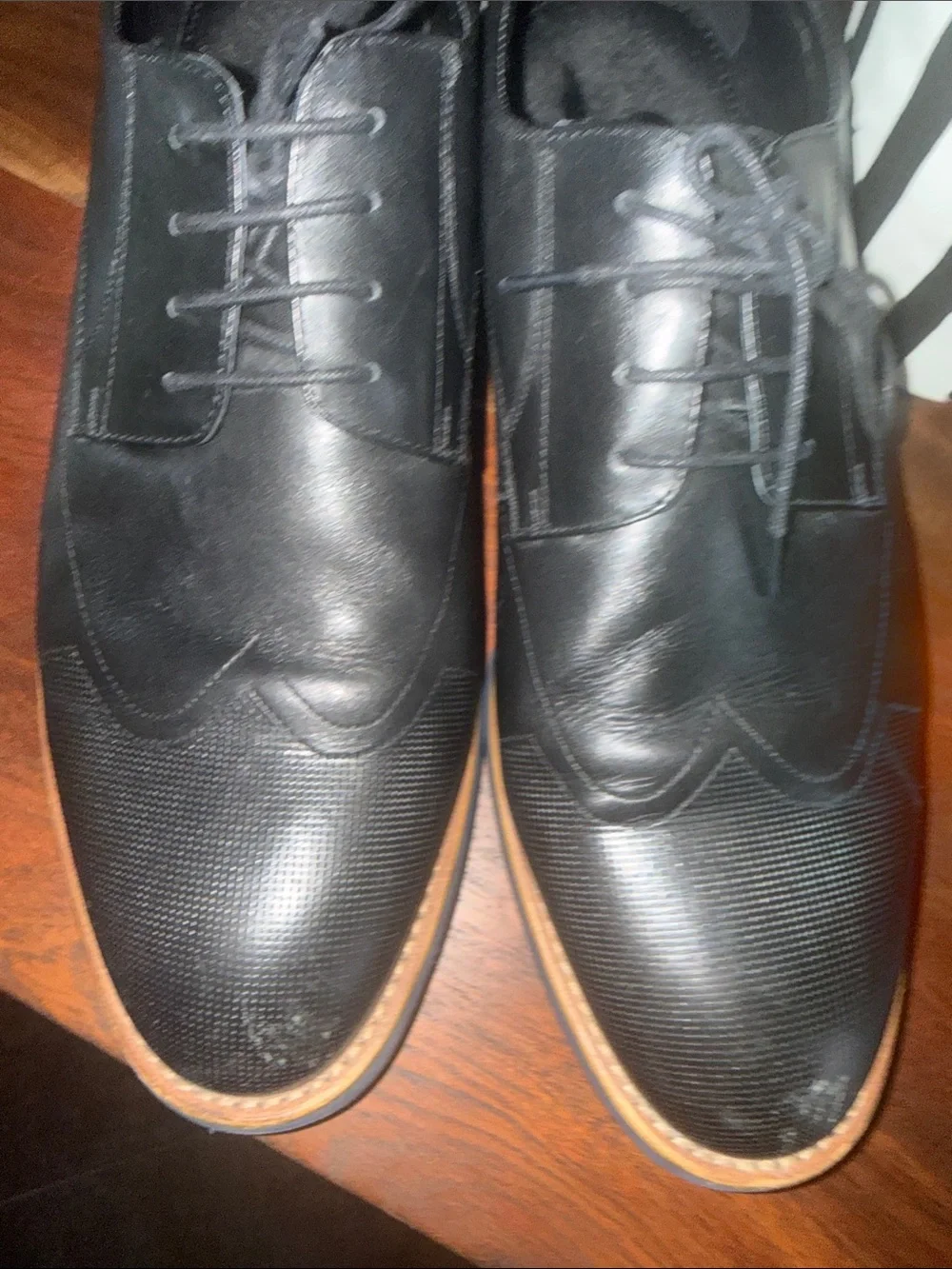 Zanzara classic black